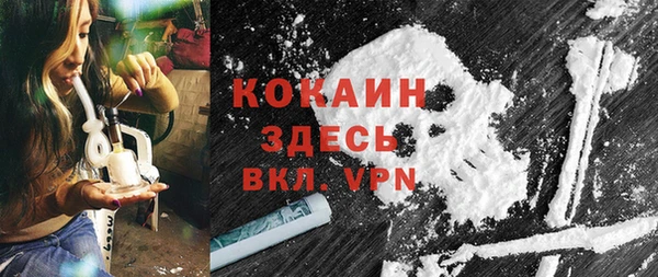 шишки Новокубанск