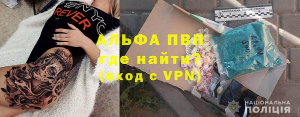 шишки Новокубанск