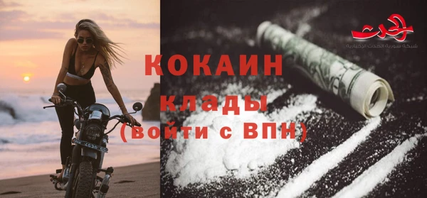 шишки Новокубанск
