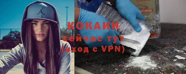 меф Новодвинск