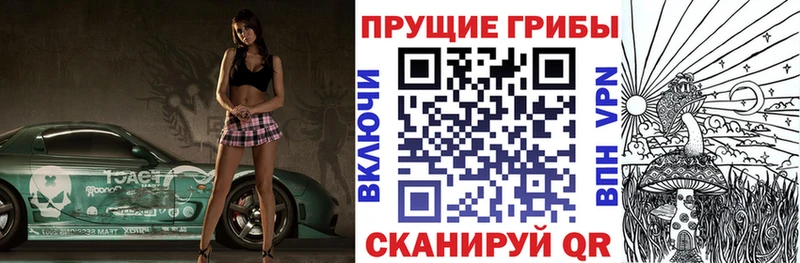 что такое наркотик Алупка Псилоцибиновые грибы Psilocybe